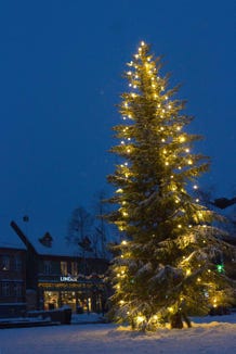 sapine de Noël à Tromsø