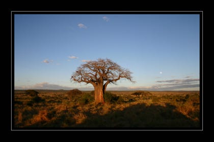 tanzanie