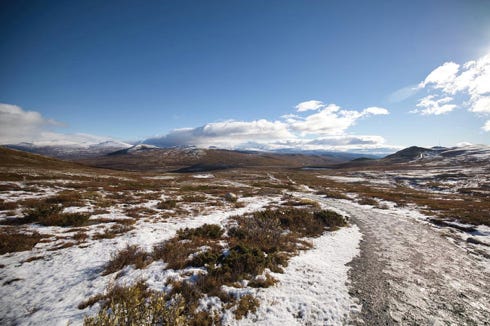 Dovrefjell