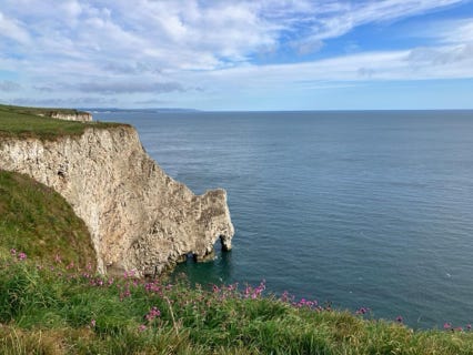 bempton cliff