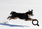 ti-punch de la combaz d'amont saut dans la neige
