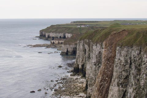 bempton cliff
