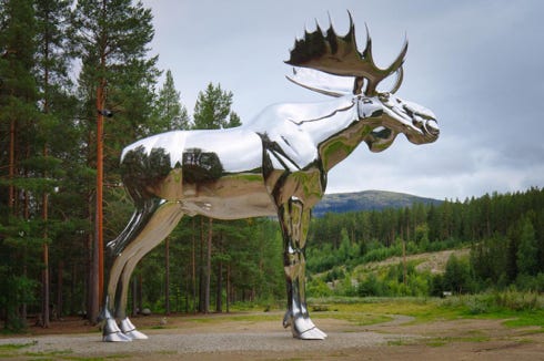Silver moose