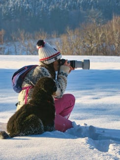 snow le bouvier bernois 