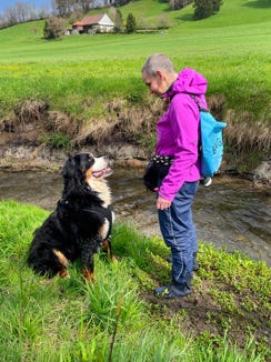 snow le bouvier bernois et isa